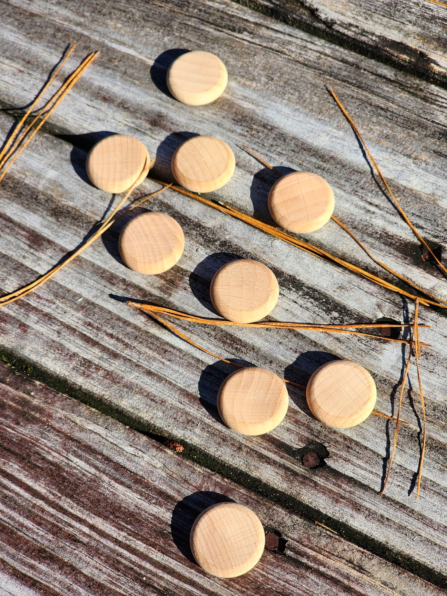 Wooden Coin