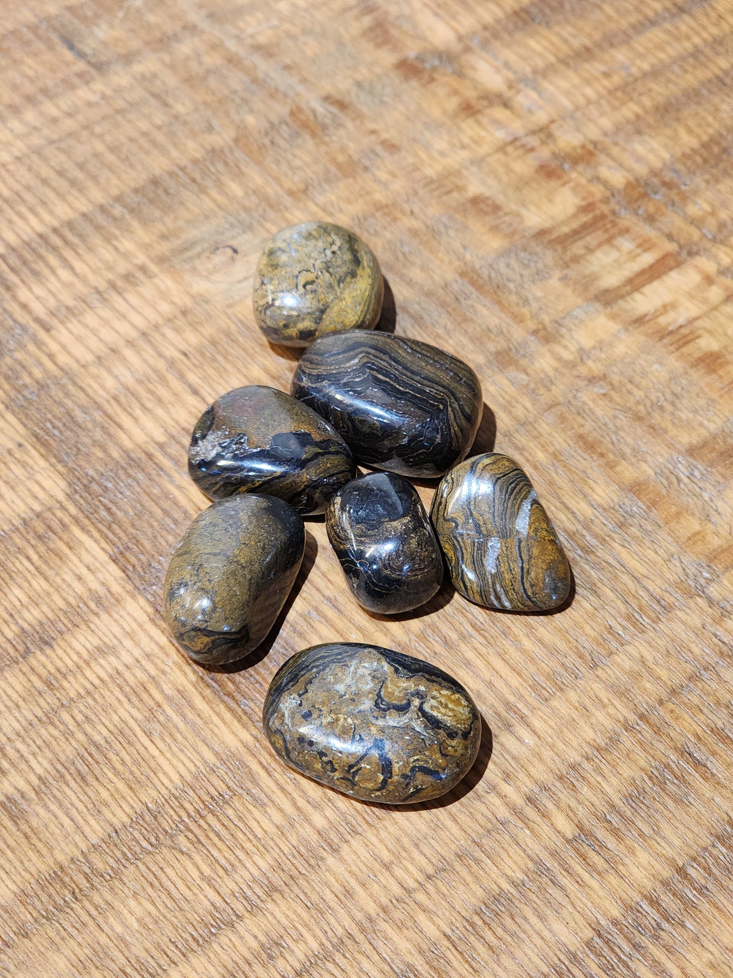 Stromatolite