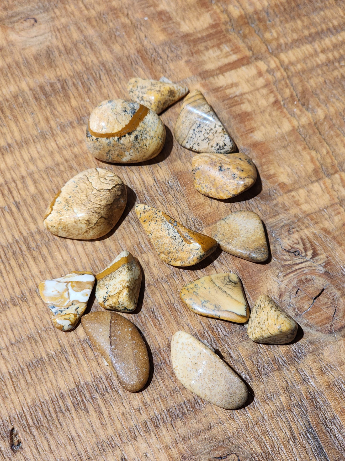 Picture Jasper