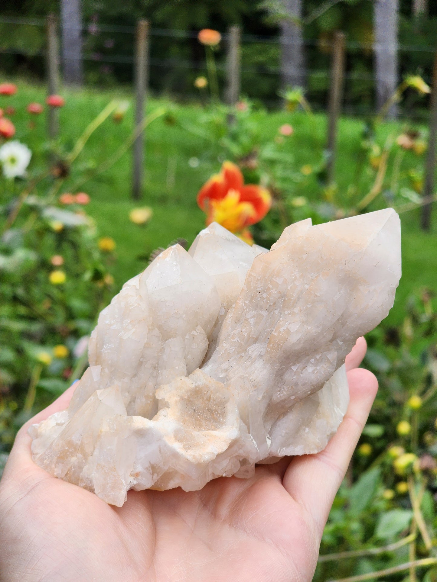 Candle Quartz