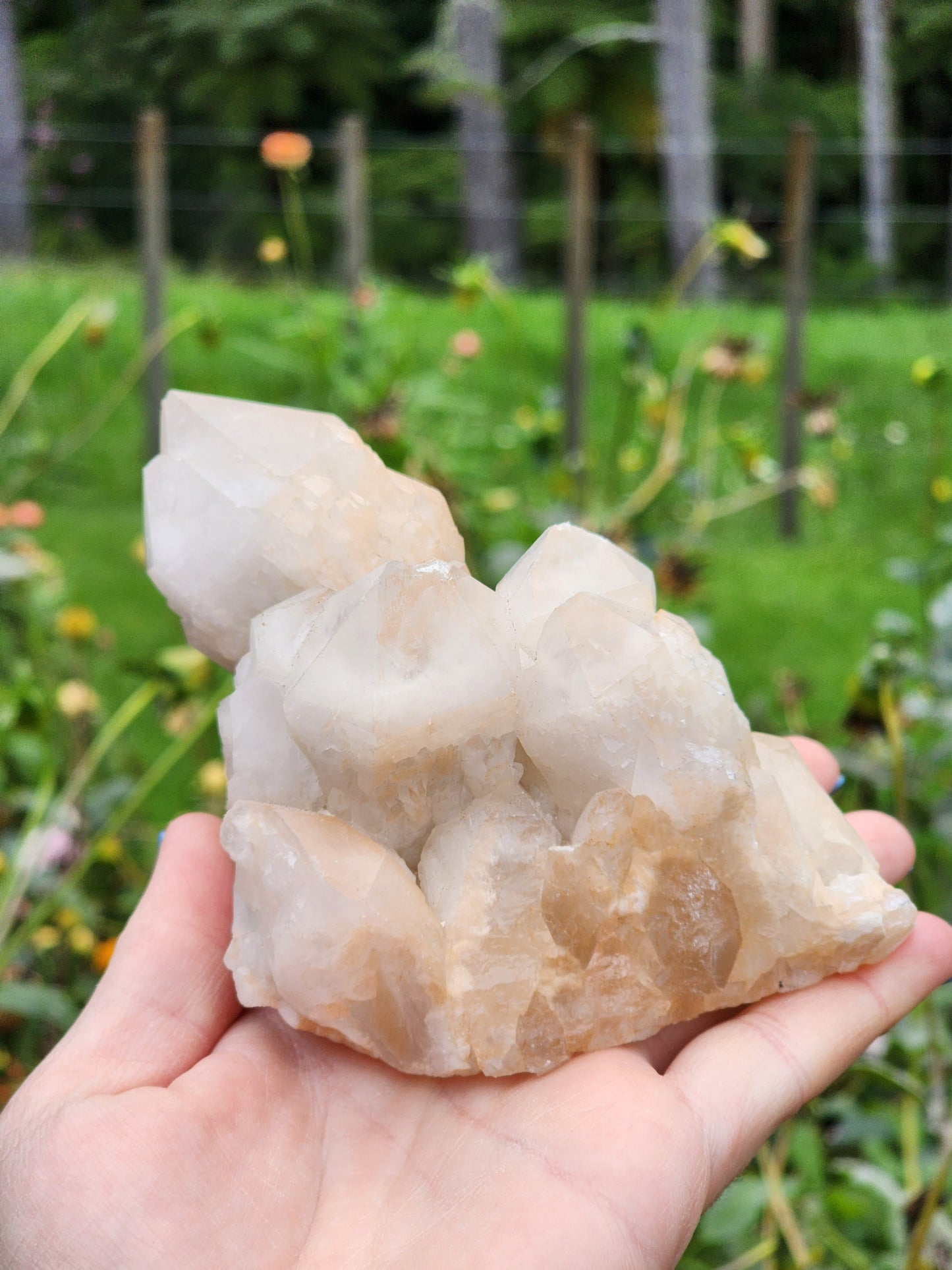 Candle Quartz