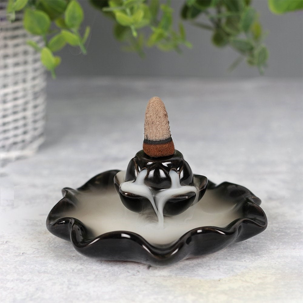 Lotus Pool Backflow Burner