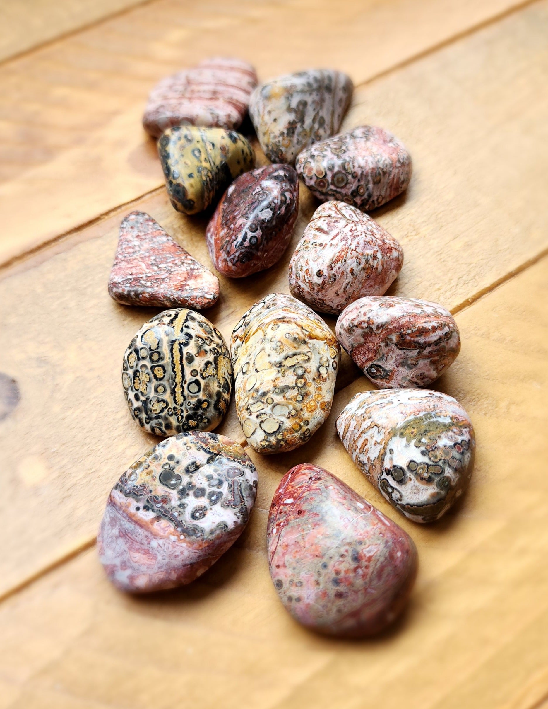 Leopardskin Jasper Meaning, 45 OFF