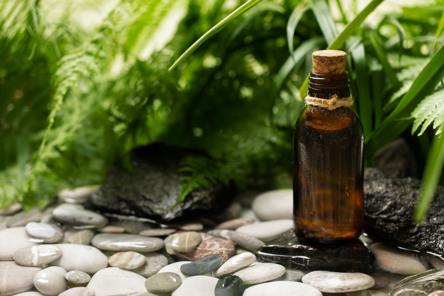 Essential Oils
