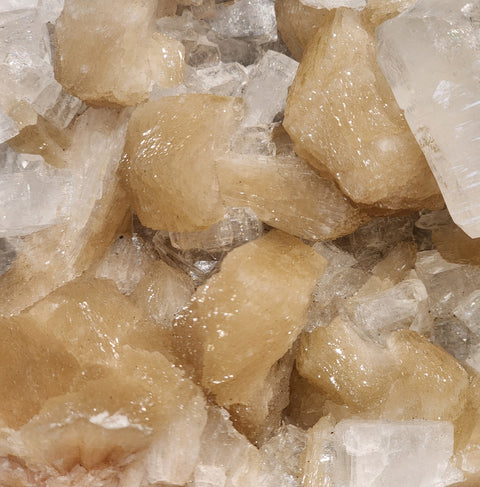 Manifestation & New Beginnings