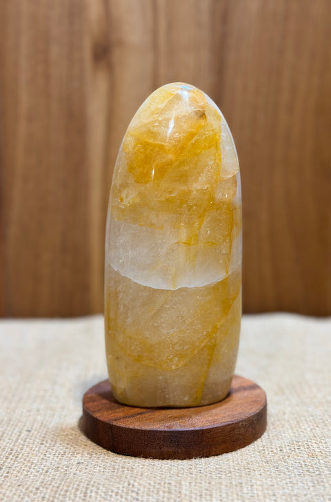 Golden Healer Freeform "John”