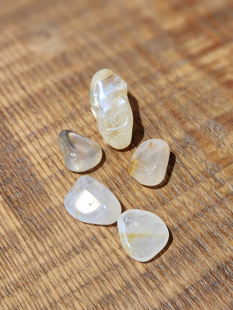 Golden Healer Tumbles