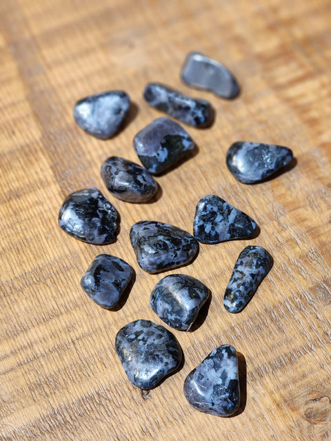 Indigo Gabbro