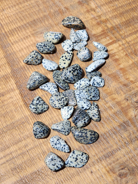 Dalmatian Jasper Tumble