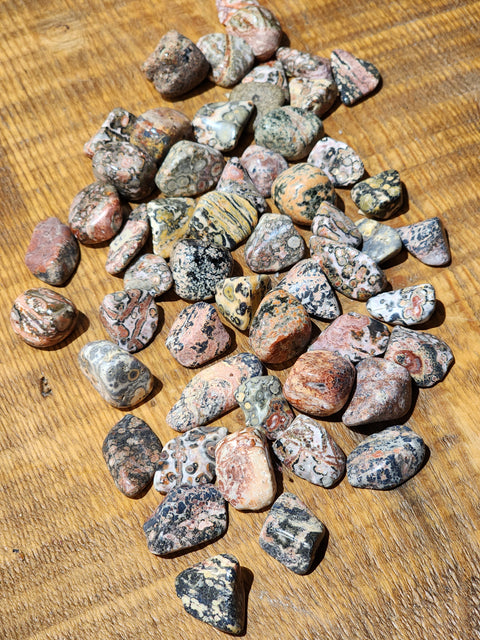 Leopard Skin Jasper Tumble