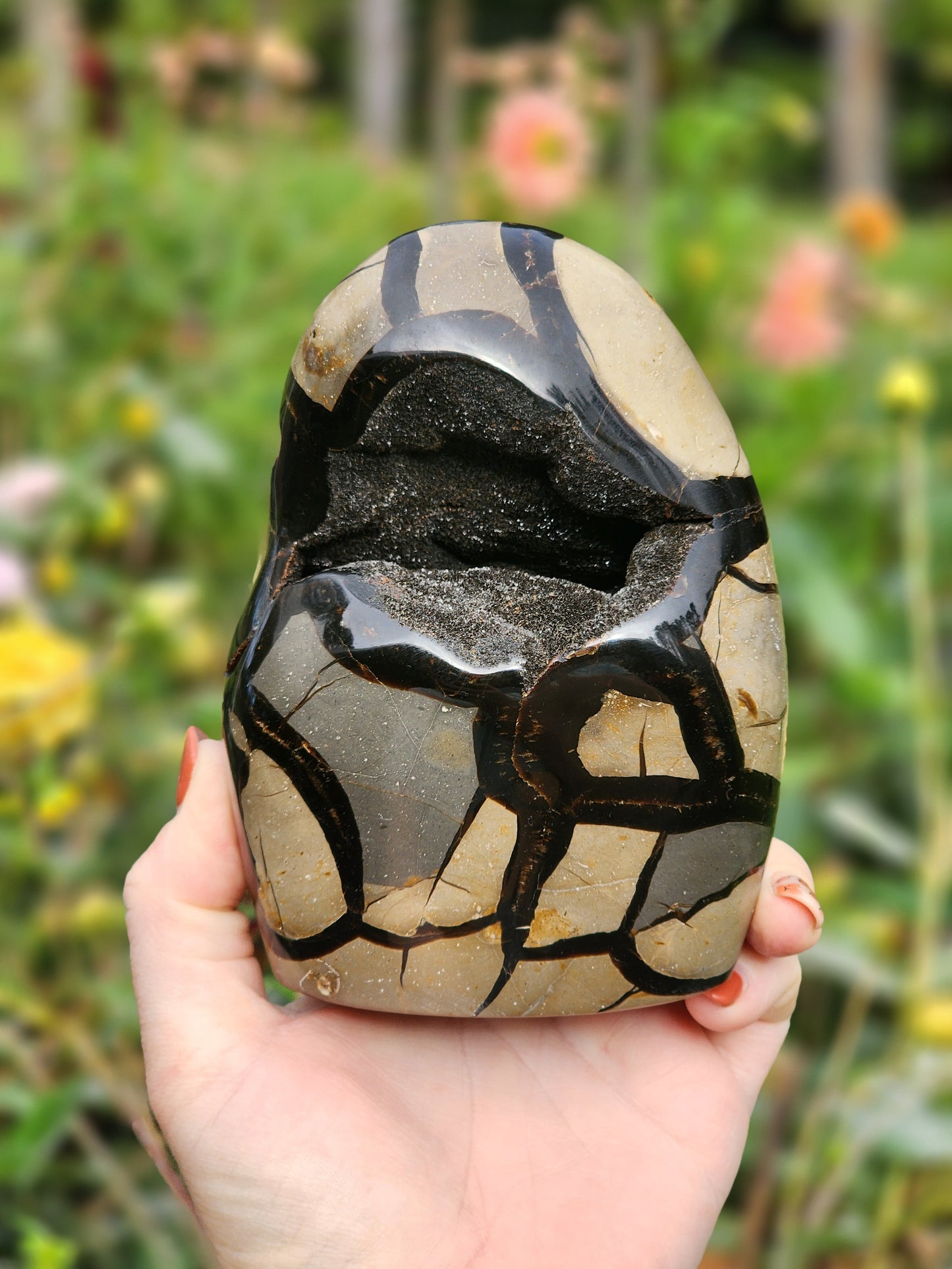 Septarian Freeform - Among us Style!