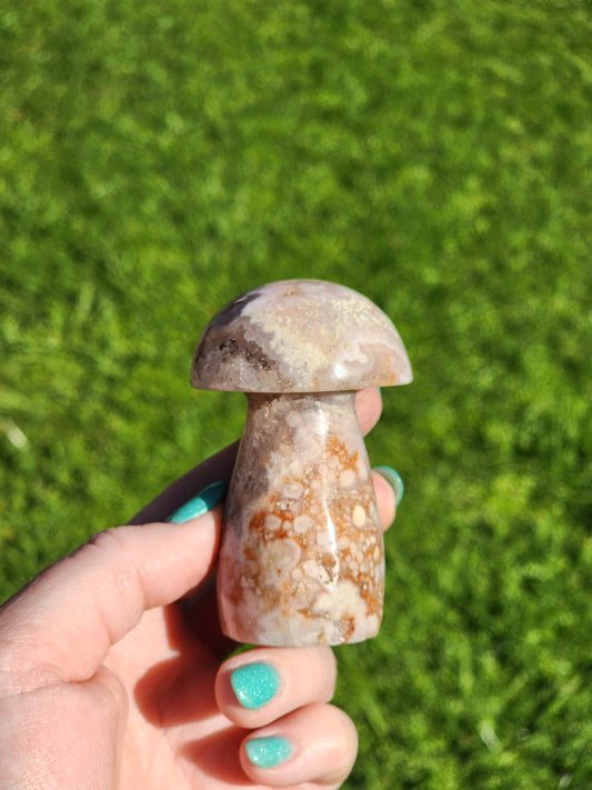 Flower Agate Mushroom