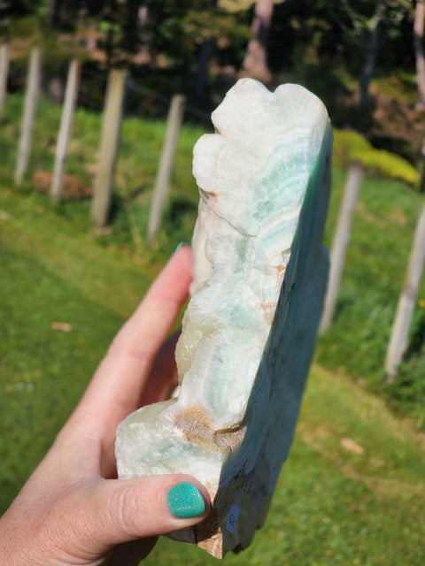 Caribbean Calcite & Aragonite Freeform