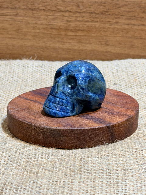 Blue Apatite Skull “Tony”