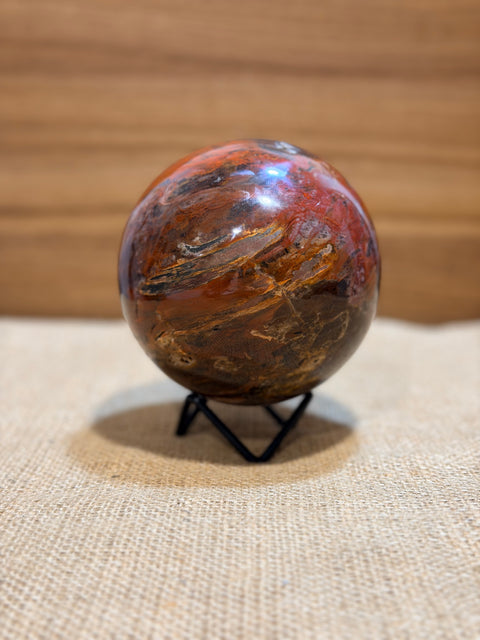 Petrified Wood Sphere "Abigail”