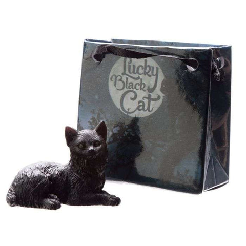 Lucky Black Cat