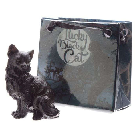 Lucky Black Cat