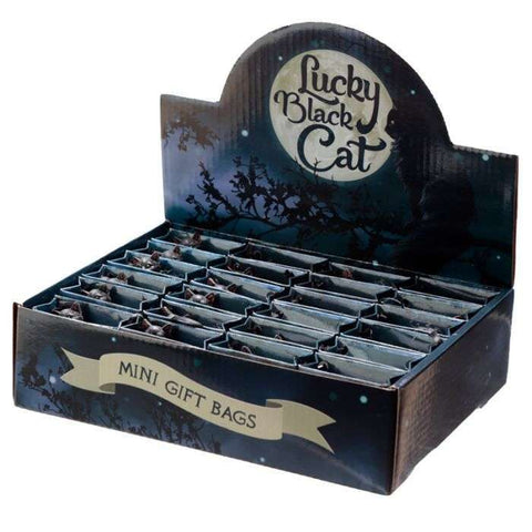 Lucky Black Cat