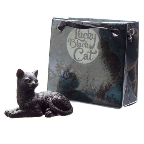 Lucky Black Cat
