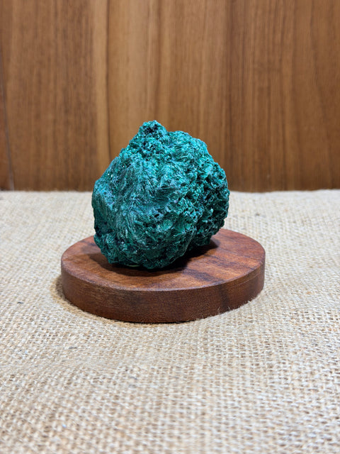 Velvet Malachite “Haven”