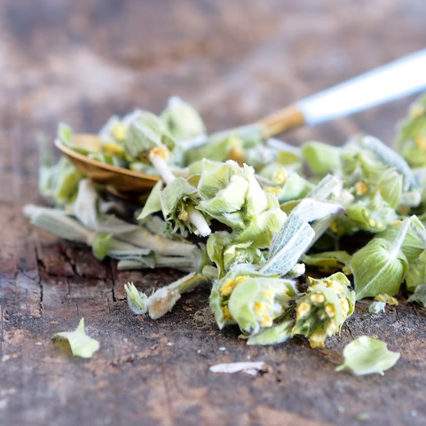 Organic Wild Greek Mountain Tea | A Getaway in a Cup 4gm