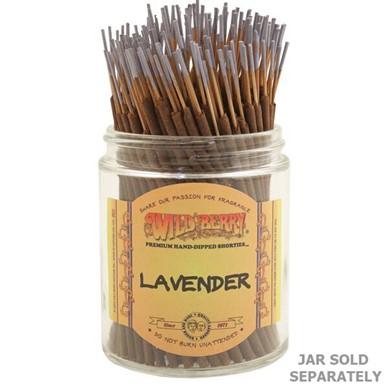 Wild berry Lavender Shortie