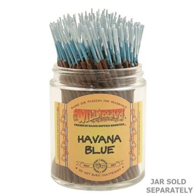 Wild berry Havana Blue Shortie