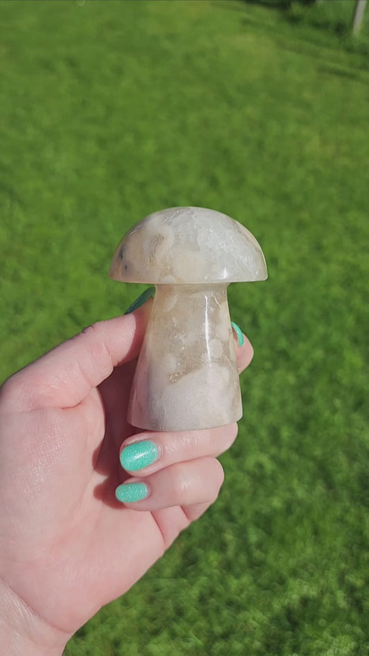 Flower Agate Mushroom