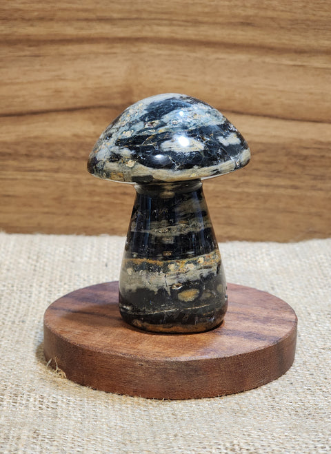 Ocean Jasper Mushroom "Quilla"