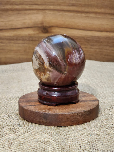 Petrified Wood Sphere "Ed"