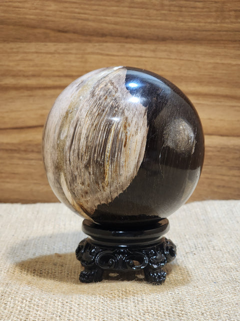 Petrified Wood Sphere "Esta"