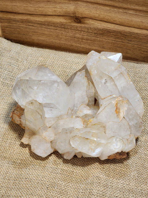 Golden Healer Cluster "Soren"