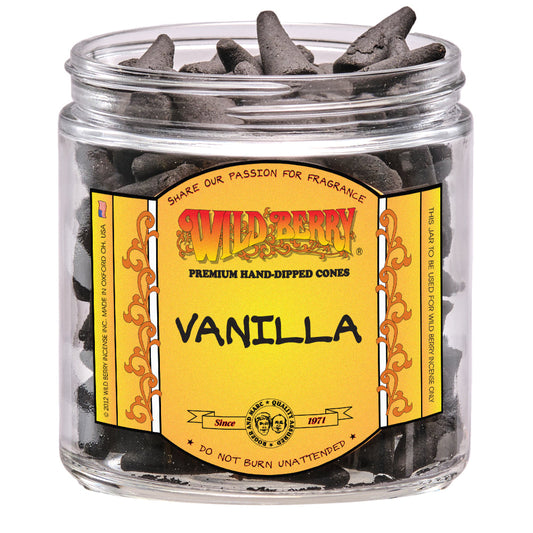 Wild berry Vanilla Cone