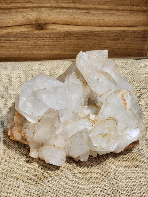 Golden Healer Cluster "Soren"