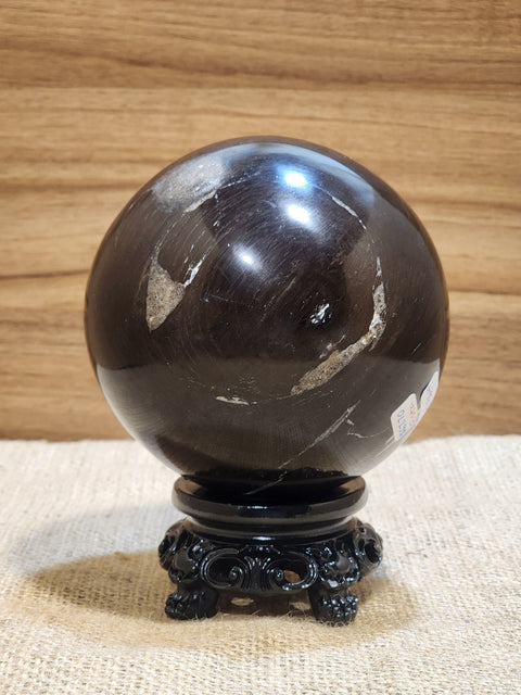 Petrified Wood Sphere "Esta"