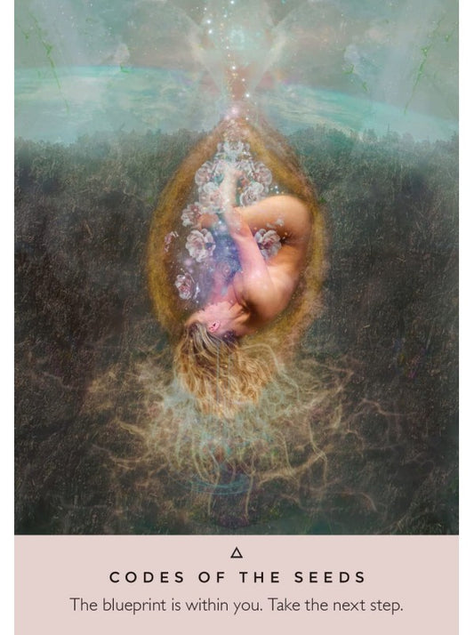 The Rose Pocket Oracle