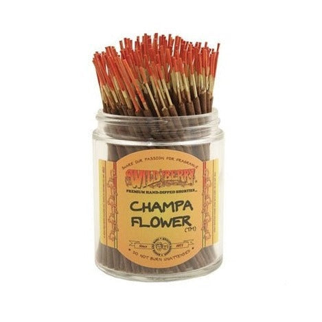 Wild berry Champa Flower Shortie