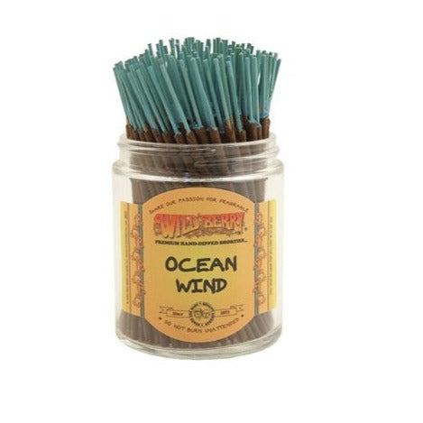 Wild berry Ocean Wind Shortie